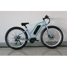 Tourney 7speed Ebike 48V 350W Cool Fat Tyre Electric Bike